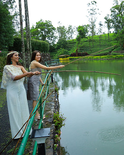 best resorts in vagamon for family