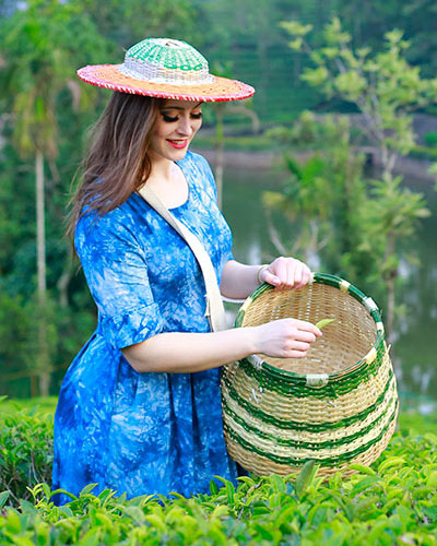 best resorts in vagamon