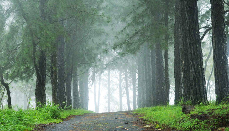 good hotels in vagamon